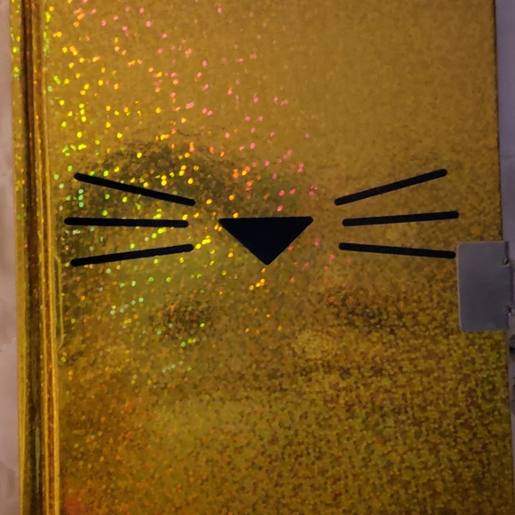 Gold shimmering lined page journal with lock/key. - Picture 6 of 8